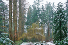 schneematsch1
