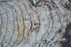seq_100j_2
