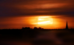 sequoiafarm_sunset