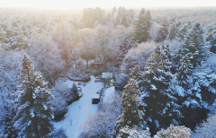 SF_winter