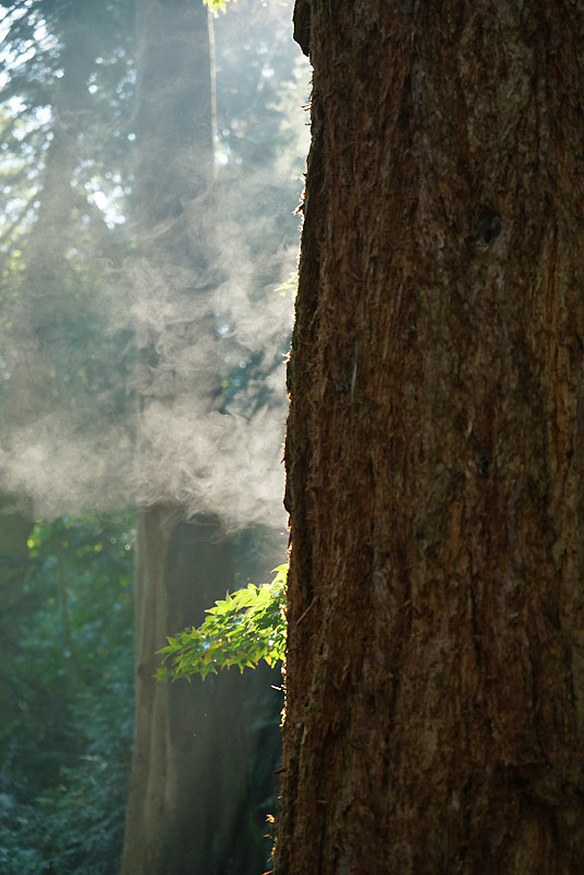 smoker1