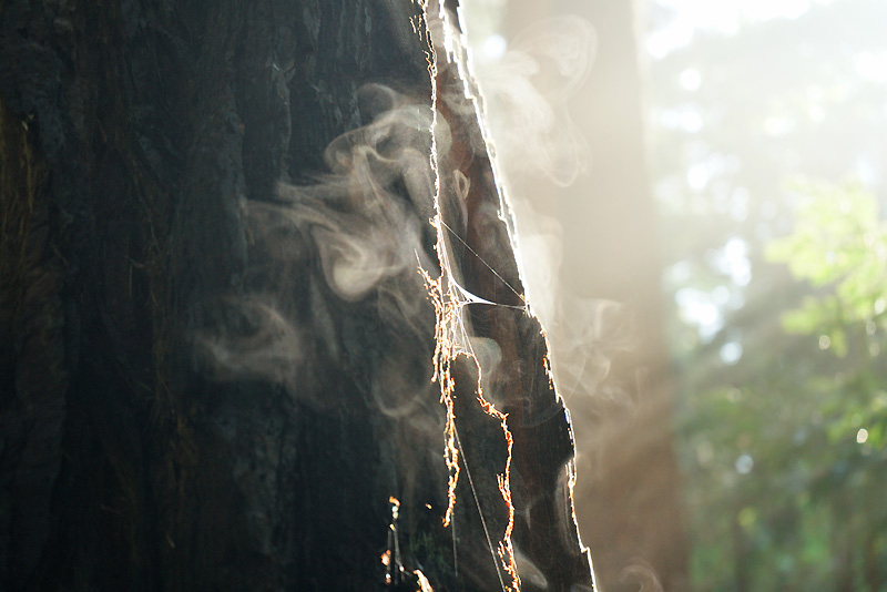 smoker2
