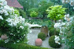 Loverlij Tuin 98