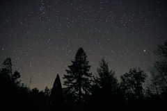 starlight