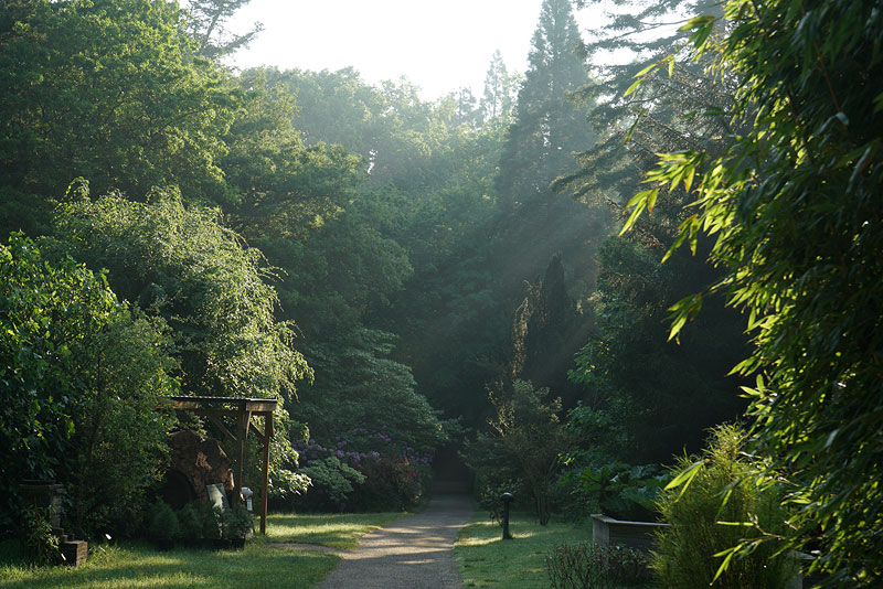 wald_1