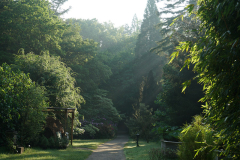 wald_1