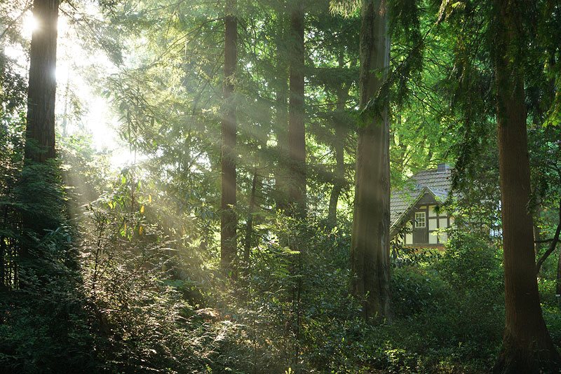 wald_2