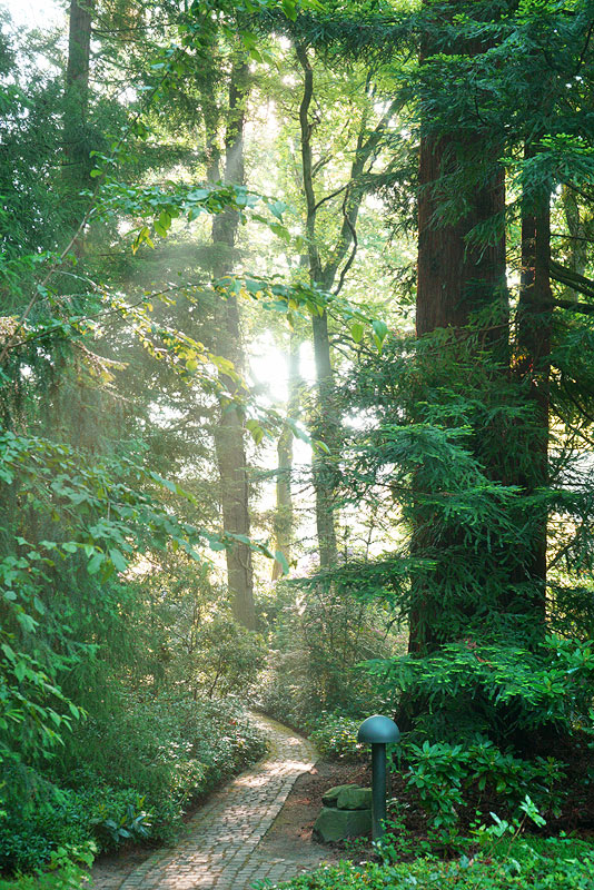 wald_3