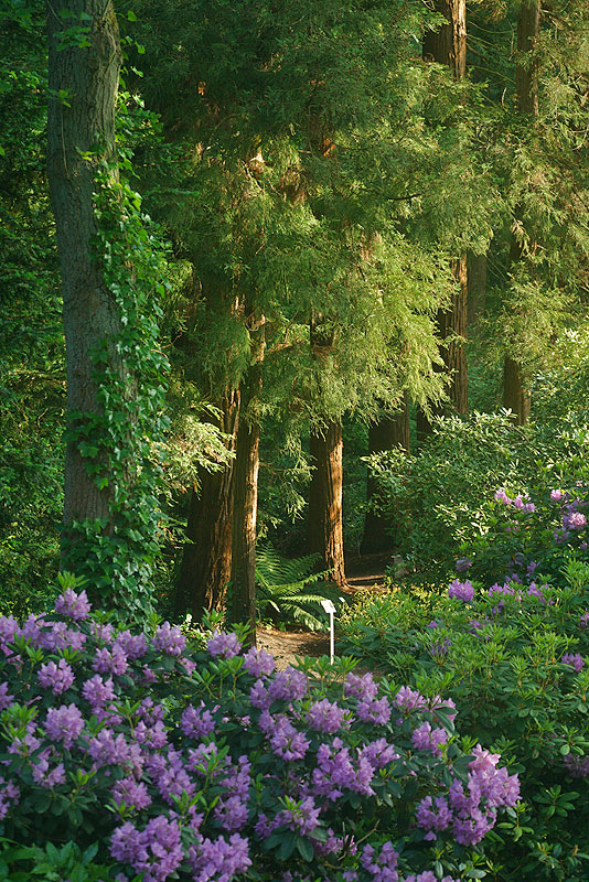 wald_5