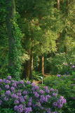 wald_5