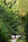 waldfrische