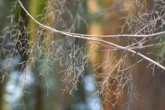 winter_struktur