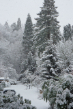 winter1