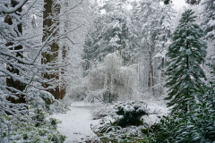 winter2