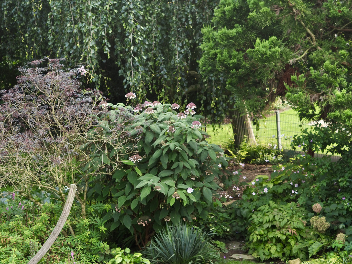 P8180451