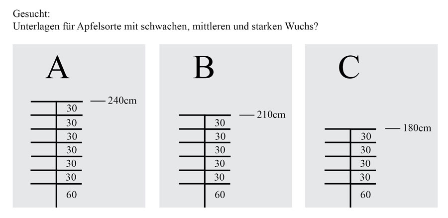 apfelspalier_unterlagen_gesucht
