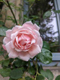 PXL_20240519_145105158