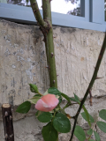 PXL_20240519_145114665