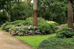 Rhodopark Ende Juli 04