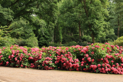 Rhodopark Ende Juli 06
