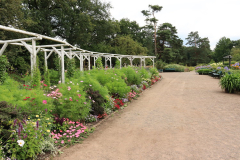 Rhodopark Ende Juli 13