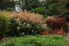 Rhodopark Ende Juli 19