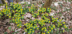 IMG-20240216-WA0000