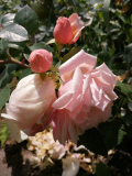IMG_20220624_114703