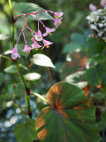 P9020568