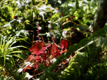 P9020574