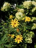 P9020558