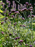 P9020543