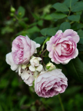 P9050617