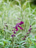 P9050616