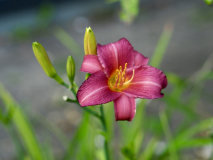 P9050578