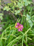P9050577