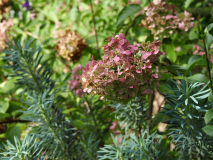 P9070666