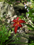 P9070664