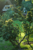 Okt24_18_Acers