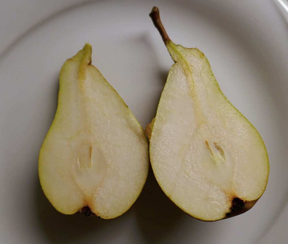 birne-früchte4