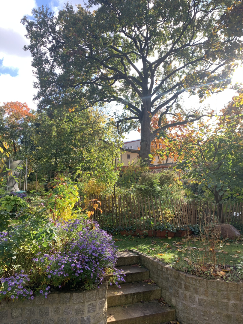 Herbstgarten-6
