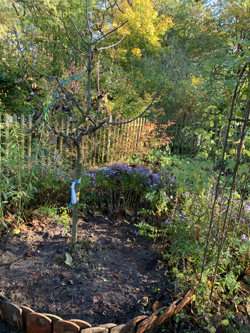 Herbstgarten-12