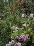 PB020913