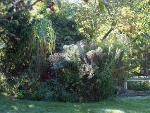PB040981
