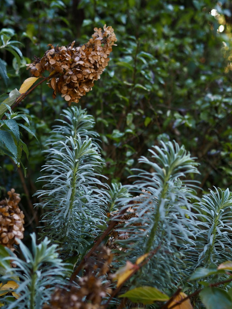 PB040980