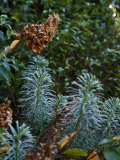 PB040980