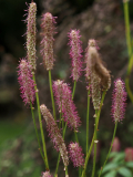 PB091027