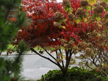 PB091024