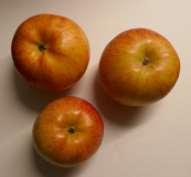 AV-apfel-apfel-okt1