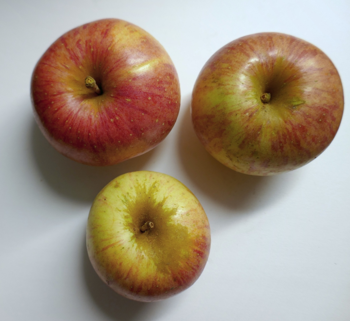 AV-apfel-apfel-okt2